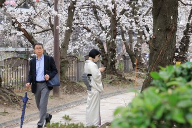 Huzurlu bir sonbahar gezintisi Resimli bir nehir kenarında
