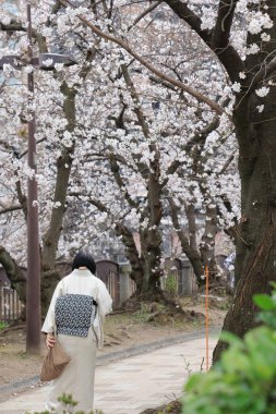 Huzurlu bir sonbahar gezintisi Resimli bir nehir kenarında
