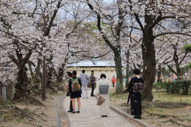 Huzurlu bir sonbahar gezintisi Resimli bir nehir kenarında