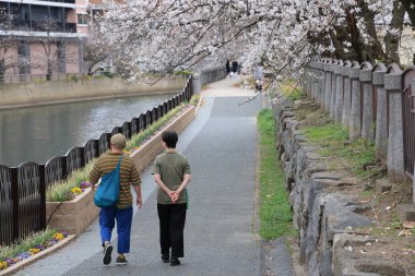 Huzurlu bir sonbahar gezintisi Resimli bir nehir kenarında