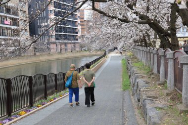 Huzurlu bir sonbahar gezintisi Resimli bir nehir kenarında