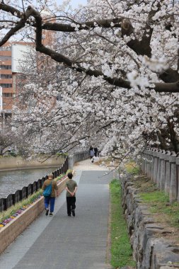 Huzurlu bir sonbahar gezintisi Resimli bir nehir kenarında
