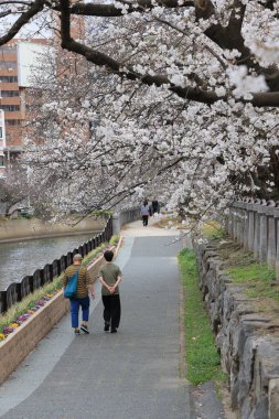 Huzurlu bir sonbahar gezintisi Resimli bir nehir kenarında