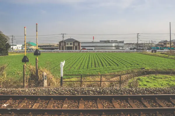 28 Mart 2025. Geniş yeşil alan, elektrik hatlarıyla kesişiyor.,