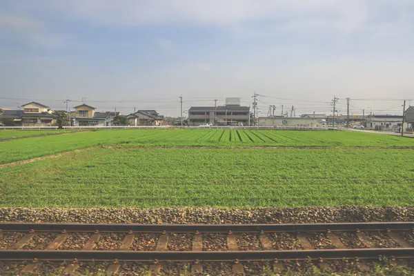 28 Mart 2025. Geniş yeşil alan, elektrik hatlarıyla kesişiyor.,