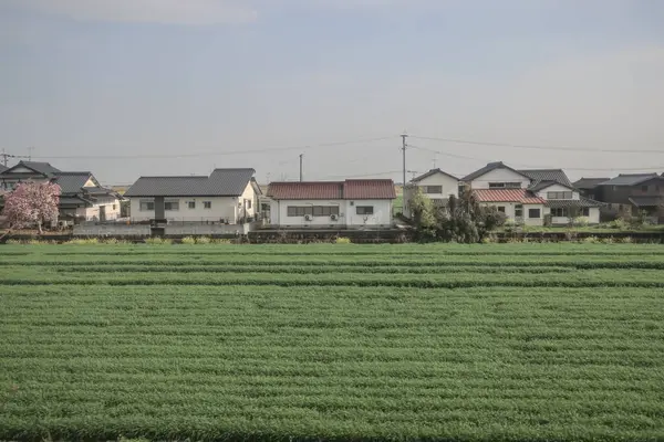 28 Mart 2025 Geniş yeşil tarım alanı ufka doğru uzanıyor