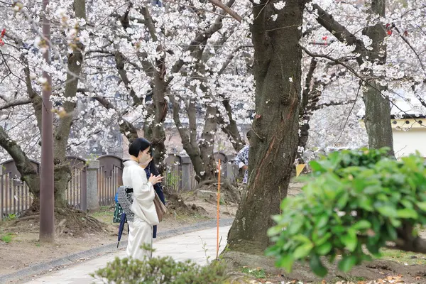 Huzurlu bir sonbahar gezintisi Resimli bir nehir kenarında