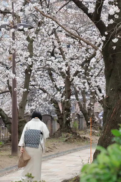 Huzurlu bir sonbahar gezintisi Resimli bir nehir kenarında