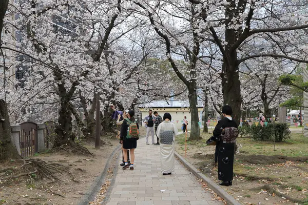 Huzurlu bir sonbahar gezintisi Resimli bir nehir kenarında