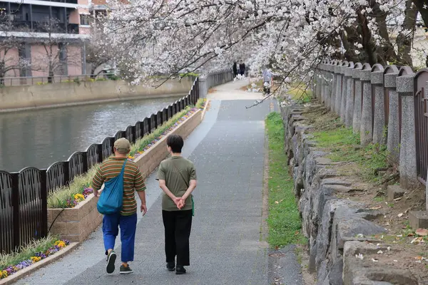 Huzurlu bir sonbahar gezintisi Resimli bir nehir kenarında