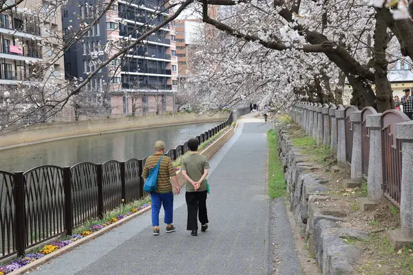Huzurlu bir sonbahar gezintisi Resimli bir nehir kenarında