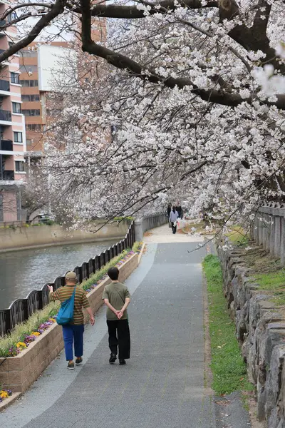 Huzurlu bir sonbahar gezintisi Resimli bir nehir kenarında