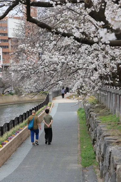 Huzurlu bir sonbahar gezintisi Resimli bir nehir kenarında