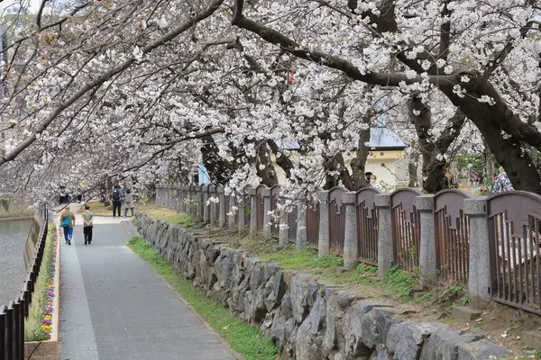 Huzurlu bir sonbahar gezintisi Resimli bir nehir kenarında