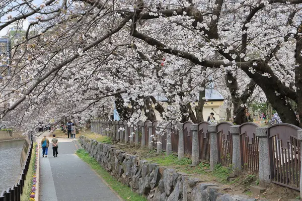 Huzurlu bir sonbahar gezintisi Resimli bir nehir kenarında
