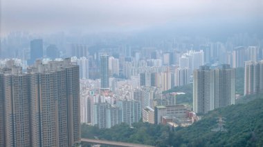 Yüksek gökdelenlerin bulunduğu şehir manzarası canlı yeşil ile çelişiyor.