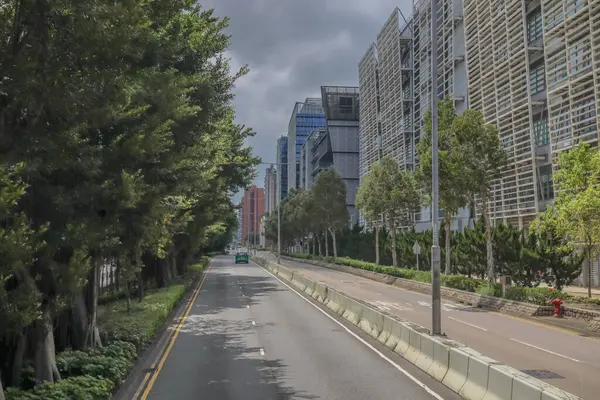 Şehir yolu modern binalarla, yemyeşil ağaçlarla dolu.