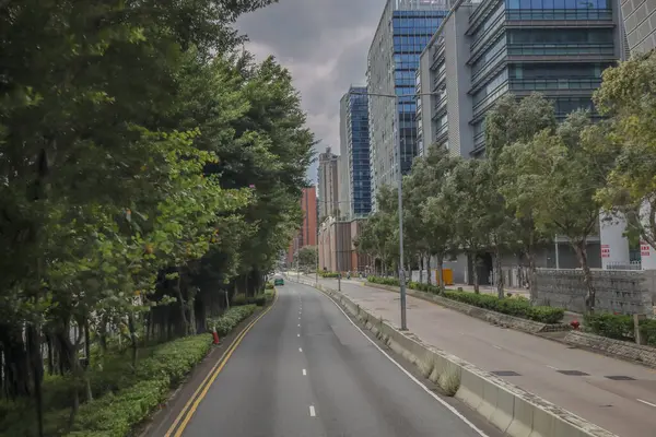 Şehir yolu modern binalarla, yemyeşil ağaçlarla dolu.