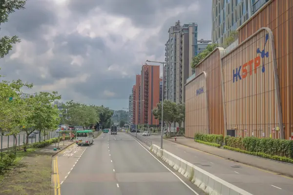 Şehir yolu modern binalarla, yemyeşil ağaçlarla dolu.