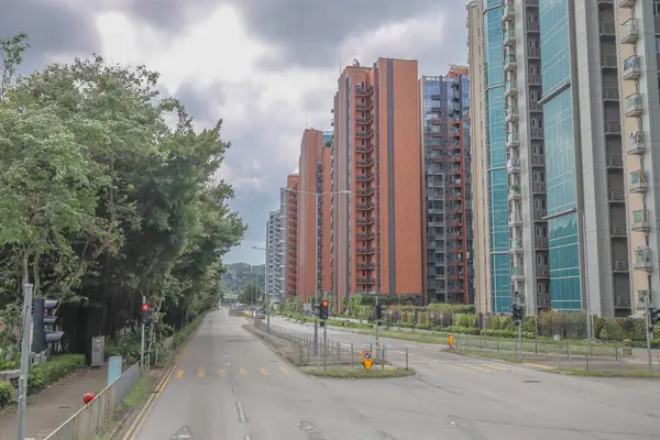 Şehir yolu modern binalarla, yemyeşil ağaçlarla dolu.