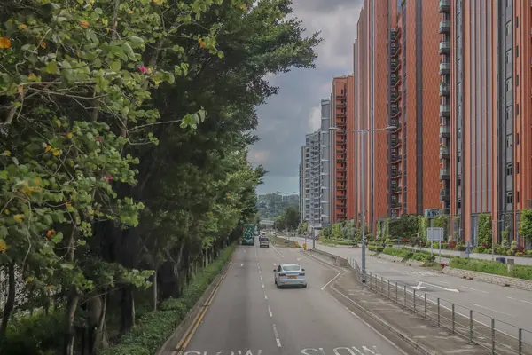 Şehir yolu modern binalarla, yemyeşil ağaçlarla dolu.