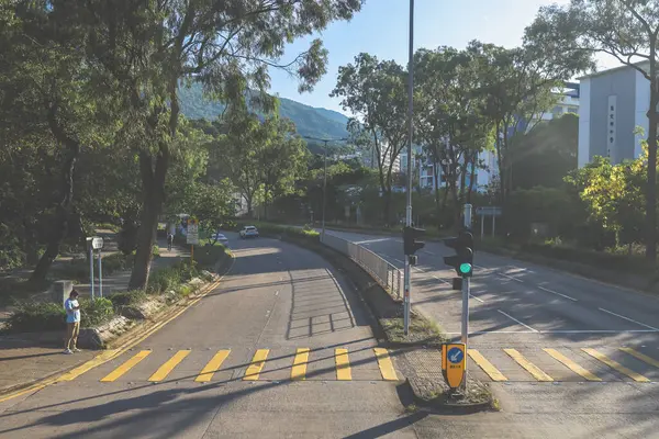 Yaya geçidi ve trafik ışıklarıyla şehir kavşağı