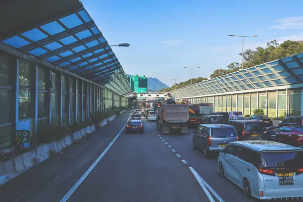 açık mavi gökyüzünün altındaki ağaçların ve binaların arka planı. Canlı bir şehirde güneşli bir günde, şehir içi gidip gelen yaşam tarzını yakalar..