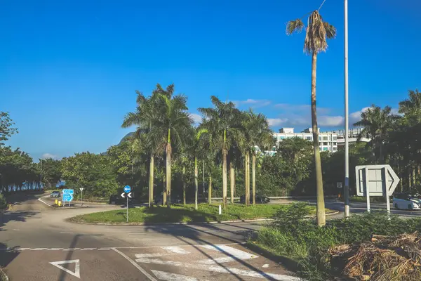 Bir kavis içeren yüksek bir otoyol manzarası, bir dağ zeminli.,