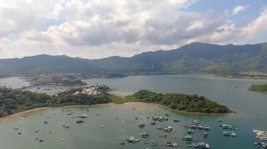 Bereketli yeşilliklerin yer aldığı sakin bir kıyı manzarası.