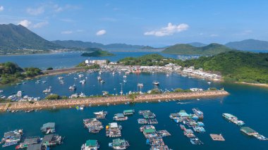 Liman çeşitli teknelerle dolu, mavi bir gökyüzünün altında, çevrili.