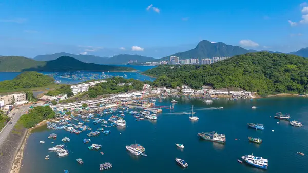 Liman çeşitli teknelerle dolu, mavi bir gökyüzünün altında, çevrili.