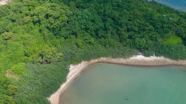 yemyeşil bir orman adasının nefes kesici hava manzarası