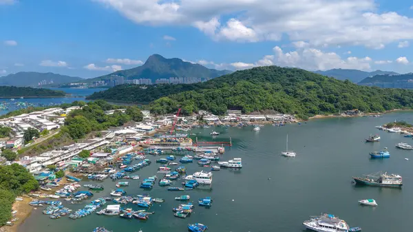 Liman çeşitli teknelerle dolu, mavi bir gökyüzünün altında, çevrili.