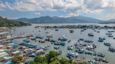 Liman çeşitli teknelerle dolu, mavi bir gökyüzünün altında, çevrili.