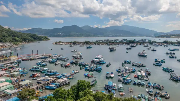 Liman çeşitli teknelerle dolu, mavi bir gökyüzünün altında, çevrili.