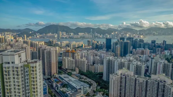 Tomurcuklanan bir şehrin yemyeşil gökyüzünün panoramik görüntüsü