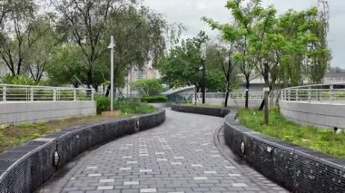 13 Haziran 2025 'te bitkilerle, oturma alanlarıyla dolu verimli bir çatı bahçesi. 