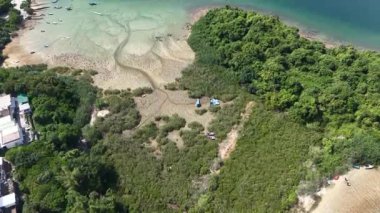 Yeşilci Sam Mun Tsai, Hong Kong kırsalındaki ekosistem, 7 Haziran 2025