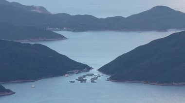 Kau Sai Wan Kıyı Tepesi Liman Manzarası Hong Kong