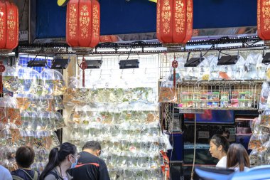 İçinde canlı Japon balığı bulunan plastik torbalar kalabalık bir markette satılığa çıkarıldı..