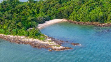 Sakin mavi okyanus suyuyla çevrili yeşil tropikal ada