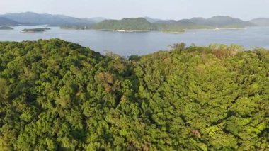 Ma Lam Wat 'ın sakin kırsal manzarası Yeşillik ile 4 Temmuz 2025