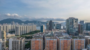 Canlı Binalar, Çatı Yapıları Konut Mimarisi