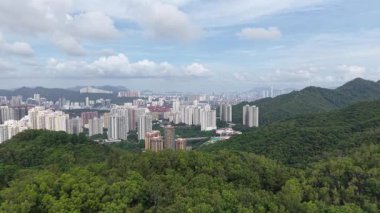 Tsing Yi Adası Köprüleri Doğa ve Şehir Hayatı 13 Temmuz 2025