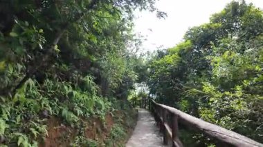 Tsing Yi Doğa Yolları Köprü ve Deniz, 13 Temmuz 2025 