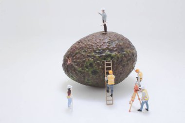 Minyatür inşaat işçileri güvenlik yelekleriyle büyük bir avokadoyu inceliyor ve planlıyorlar.