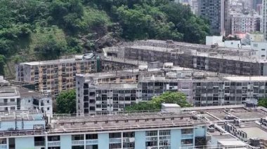 Nam Shan Malikanesi 'nde Yaşam Sahnesi 8 Ocak 2025