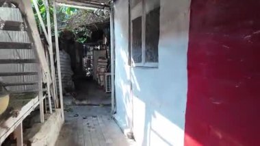 Geleneksel yaşam tarzı 12 Temmuz 2025 'te Ngau Chi Wan köyünde ele geçirildi.