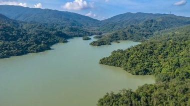 Shing Mun Reservoir çevresindeki barışçıl doğa manzarası