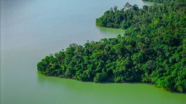 Shing Mun Reservoir çevresindeki barışçıl doğa manzarası
